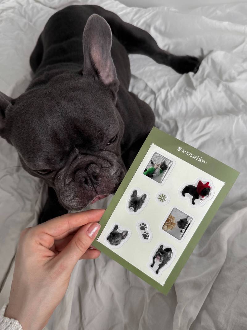 Стикеры "Тони" Romashka 19979