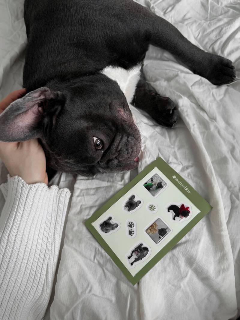 Стикеры "Тони" Romashka 19979