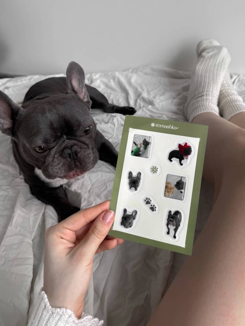 Стикеры "Тони" Romashka 19979