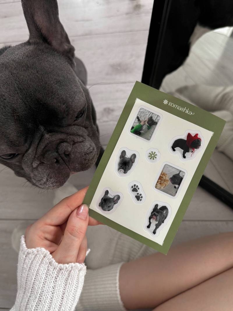 Стикеры "Тони" Romashka 19979