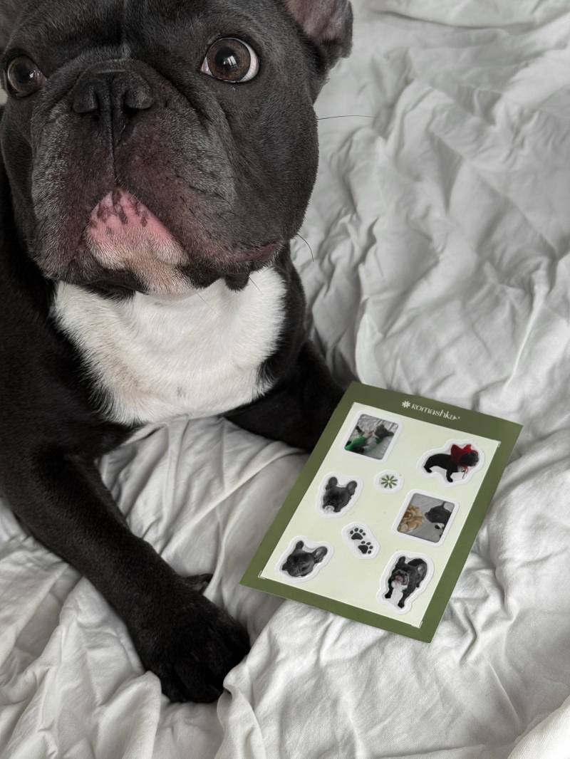 Стикеры "Тони" Romashka 19979