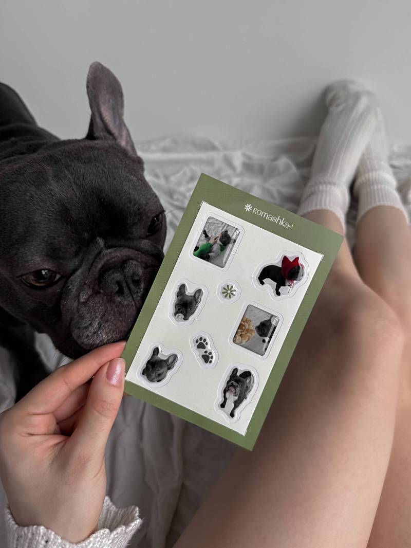 Стикеры "Тони" Romashka 19979