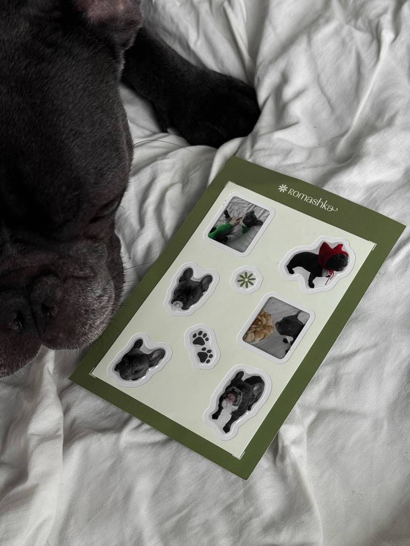 Стикеры "Тони" Romashka 19979